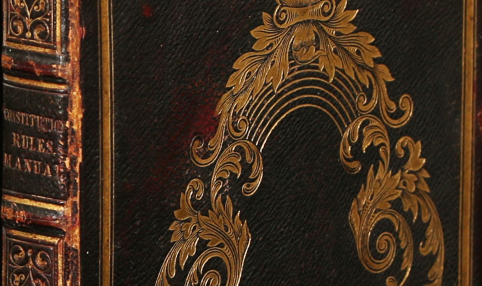 Polk constitution 3 (5)
