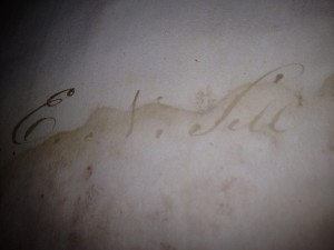 ENSill-300×225-blog.jpg