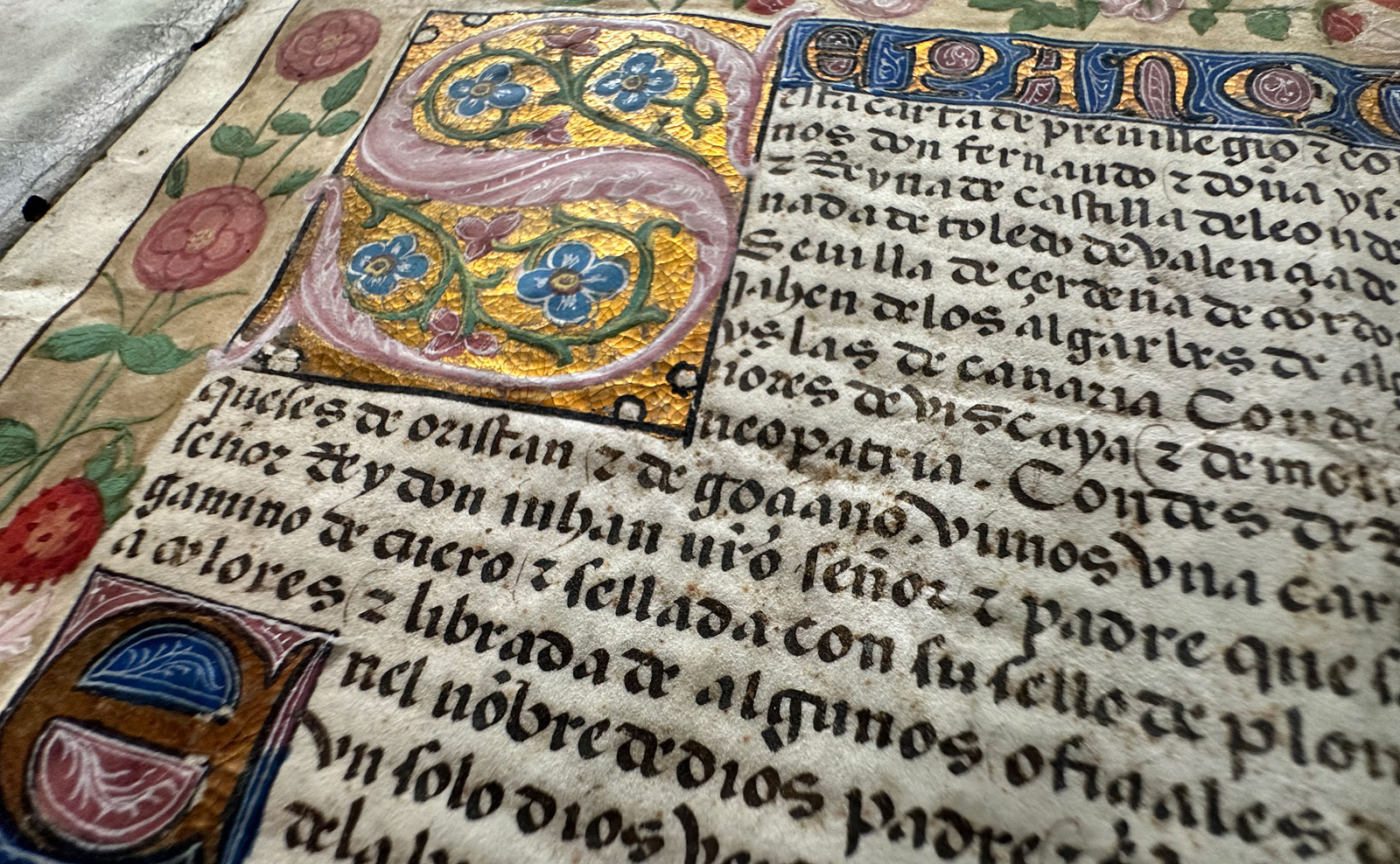 Ferdinand-1497-14 (1)