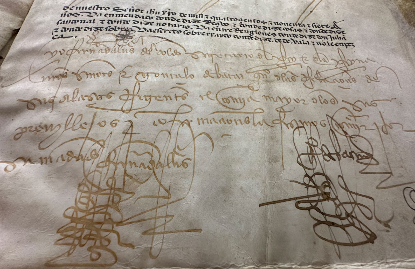 Ferdinand-1497-9 (1)