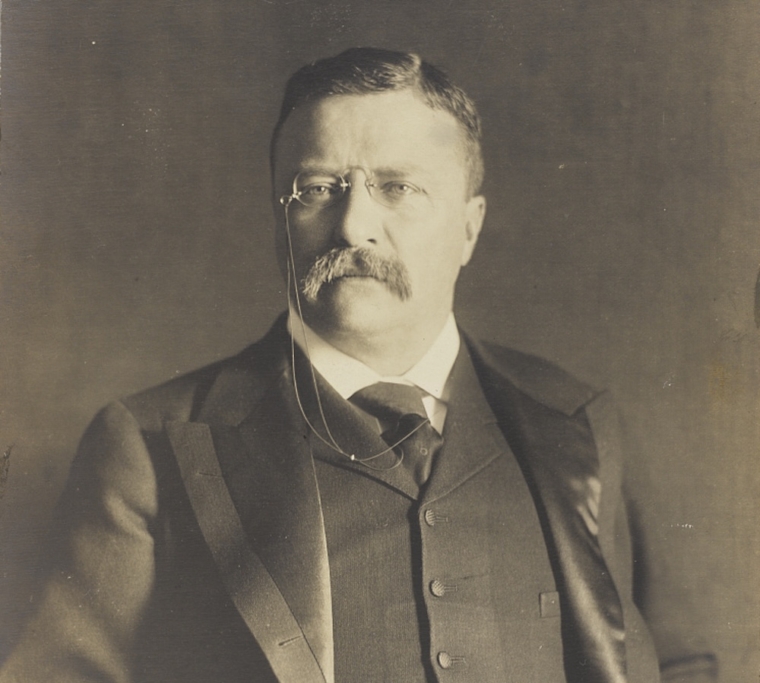 Theodore Roosevelt photograph